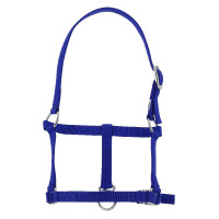 Cavezzone puledro Riding World Blu reale