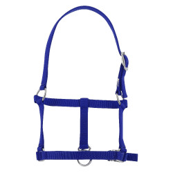 Cavezzone puledro Riding World Blu reale