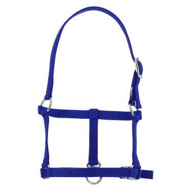 Cavezzone puledro Riding World Blu reale