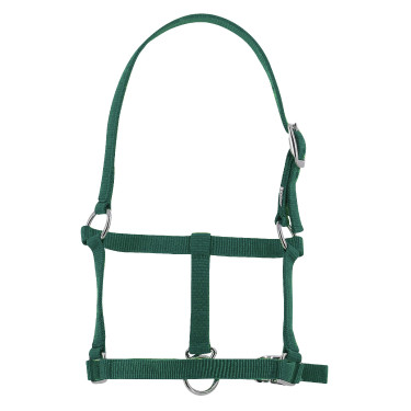 Cavezzone puledro Riding World Verde scuro