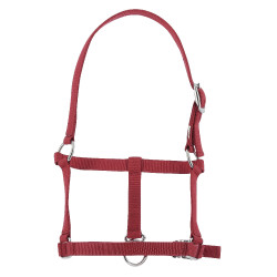 Cavezzone puledro Riding World Bordeaux