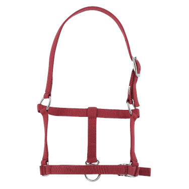 Cavezzone puledro Riding World Bordeaux