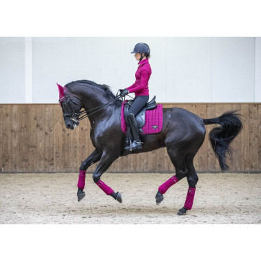 Fasce da polo Loire LeMieux Mora Bordeaux Fasce da polo Loire LeMieux Mora Bordeaux