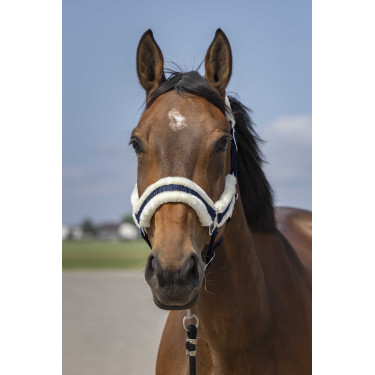 Capestro Equithème Nylon Montone