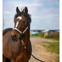 Capestro Equithème Nylon Check Nero / marrone