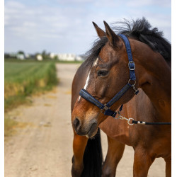 Capestro Equithème Nylon Strass Blu navy