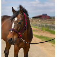 Capestro Equithème Nylon Strass Nero