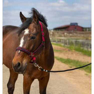 Capestro Equithème Nylon Strass Bordeaux