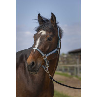 Capezzina Norton Nylon Soft Verde scuro