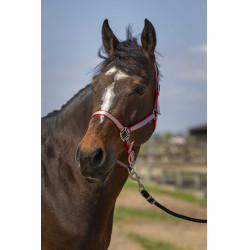 Capezzina Norton Nylon Soft Rosso