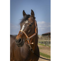 Capezzina Norton Nylon Soft Arancione