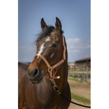 Capezzina Norton Nylon Soft Arancione