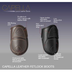 Paratendini Capella LeMieux Paratendini Capella LeMieux