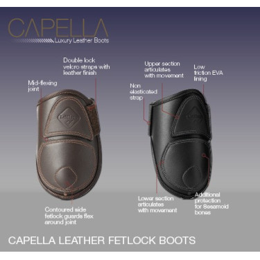 Paratendini Capella LeMieux Paratendini Capella LeMieux