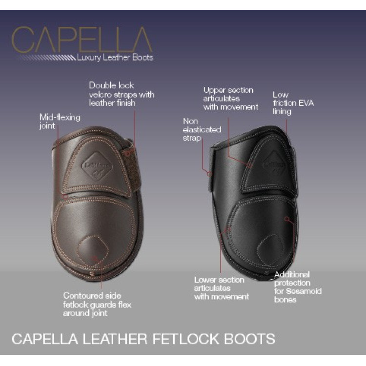Paratendini Capella LeMieux Paratendini Capella LeMieux