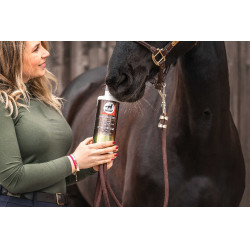 Integratore alimentare Leovet Elixir Bronchi sciroppo