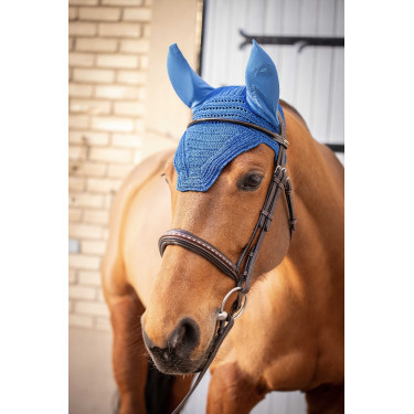 Berretto Prems Paddock Sports Blu reale