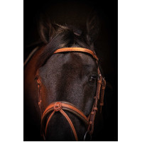 Briglia Pénélope Elegance