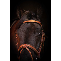 Briglia Pénélope Elegance Cognac Marrone