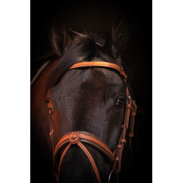 Briglia Pénélope Elegance Cognac Marrone