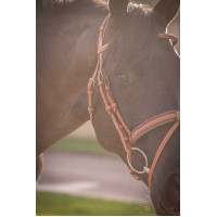 Briglia Pénélope Elegance