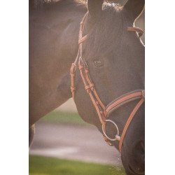 Briglia Pénélope Elegance Cognac Marrone