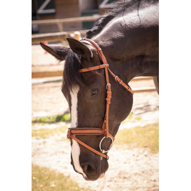 Briglia Pénélope Elegance Cognac Marrone