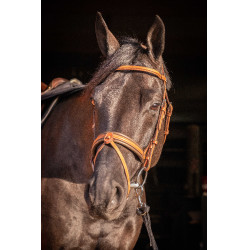 Briglia Pénélope Elegance Cognac Marrone