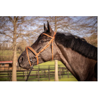 Briglia Pénélope Elegance Cognac Marrone Briglia Pénélope Elegance Cognac Marrone