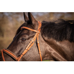 Briglia Pénélope Elegance Cognac Marrone