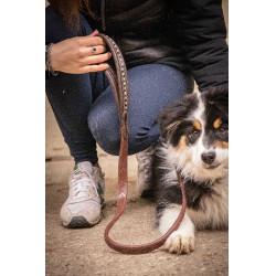 Lascia cane Pénélope Rubber Avana Marrone