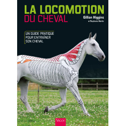 La Locomozione del Cavallo