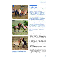 Comportamenti e posture Comportamenti e posture