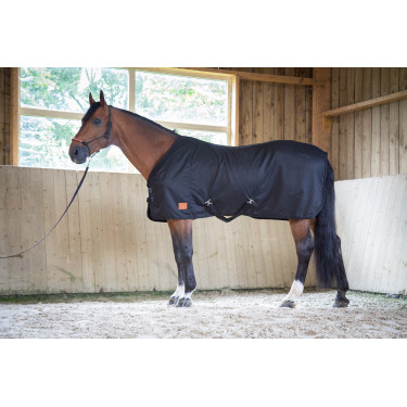 Camicia Paddock Sports Cotone Mesh