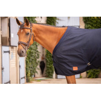 Camicia Paddock Sports Cotone Mesh Blu navy