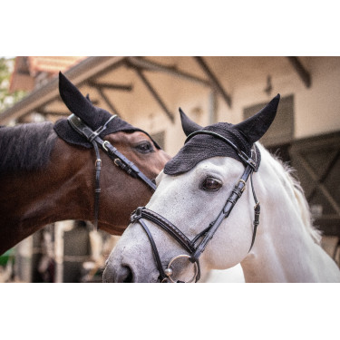 Berretto Paddock Sports Pro Cotone Nero