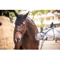 Berretto Paddock Sports Pro Cotone Nero