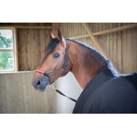 Camicia Paddock Sports Light Mesh Nero