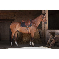 Pettorale Eric Thomas Hybrid Nero Pettorale Eric Thomas Hybrid Nero