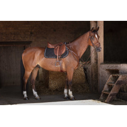 Pettorale Eric Thomas Hybrid Avana Marrone