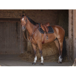 Pettorale Eric Thomas Hybrid Avana Marrone