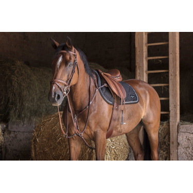 Pettorale Eric Thomas Hybrid Avana Marrone