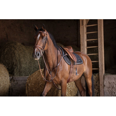 Pettorale Eric Thomas Hybrid Avana Marrone