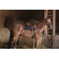 Pettorale Eric Thomas Hybrid Avana Marrone