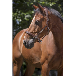 Capezza in cuoio Norton Pro Grooming Avana Marrone