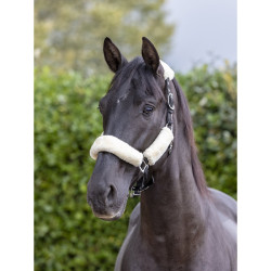 Capestro LeMieux Comfort Capestro LeMieux Comfort