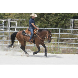 Sella Westride by Franck Perret Aurora Nocciola Marrone