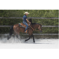 Sella Westride by Franck Perret Aurora Nocciola Marrone