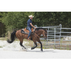 Sella Westride by Franck Perret Aurora Nocciola Marrone