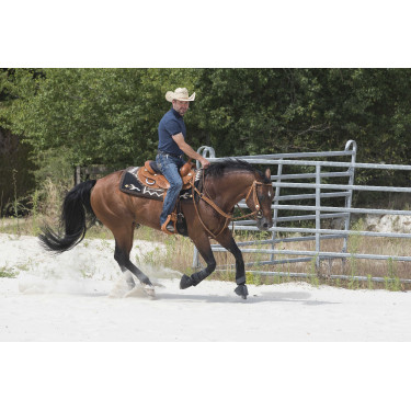 Sella Westride by Franck Perret Aurora Nocciola Marrone